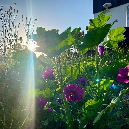 Alpehytte Blisko Nieba Iii Wisła