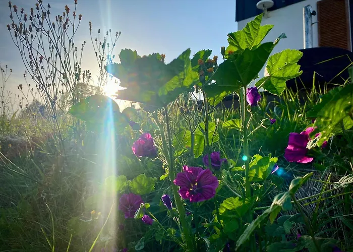 شاليه Blisko Nieba Iii فيسلا